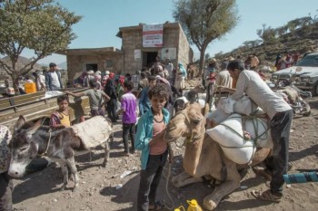 بالشراكة مع برنامج الغذاء العالمي (WFP) تمدين شباب ( TYF ) تدشن دورة جديدة في توزيع الغذاء ل 21 ألف و658 أسرة بمحافظة تعز