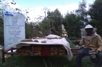 "الصمود الريفي 3": يحقق حلم وائل في تربية وإنتاج العسل اليمني